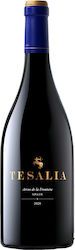 Arcos Vin Rosu Șampon Uscat 750ml