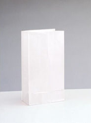 Paper Party Bags 12pcs White