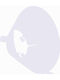 Curavet Elizabethanischer Kragen Klassisch Transparent 20cm