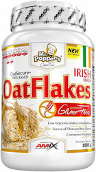 Amix Fulgi Mr. Popper's Oatflakes 1000gr
