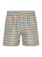 Men's Swimwear Shorts Green