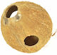 Unprocessed Coconut Cave 1 piece