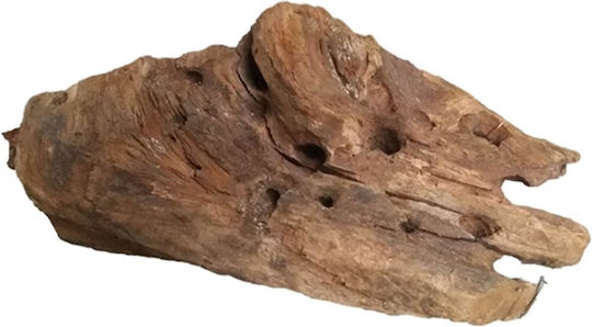 Τροπικο Ξυλο Ενυδρειου Τεμαχιο Hs Aqua Driftwood M 20-30 Cm