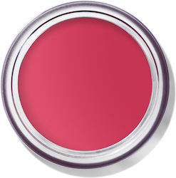 Bobbi Brown Pot Rouge & Blush Guava Punch 8,5 g