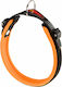 Ferplast Dog Leash/Lead Strap Ergocomfort Fluo in Orange color up to 60kg