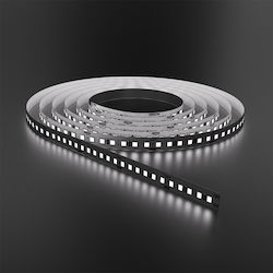Braytron LED Strip 24V Cold White Braytron LED Strip 24V Cold White