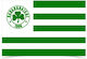 Flag of Panathinaikos Perforated 75x50cm