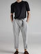 Trousers Gray