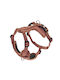 Cesare Harness Brown XS: 1.5cm Neck: 29-34cm Chest: 30-44cm