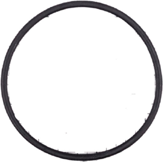 Ελαστικός Δακτύλιος O Ring D 151.7 X 6.99 44050101078 Astralpool
