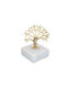 70750 Paperweight