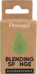 Donegal 4347 for Concealer