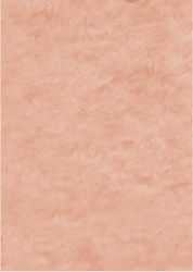 Τσοχα Werola Hobby Felt 20x30 10φ 73 Flesh