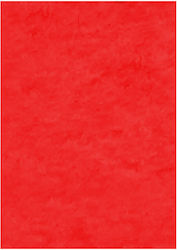 Werola Τσόχα Κόκκινη 10 Φύλλων 76 Light Red 30x...