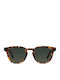 Meller Banna Unisex Sunglasses with Horn-Rimmed Frame Tigris Olive Polarized
