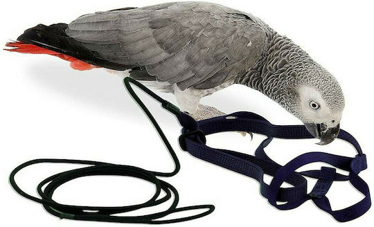 Lesă de zbor pentru papagali, mărimea M, portocaliu, Birds Kingdom