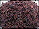 Cacao Nibs Raw Bio 500γρ