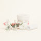 Beauty Home Oil Set