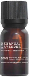 Freya Skin Care Essential Oil Lavender 10ml