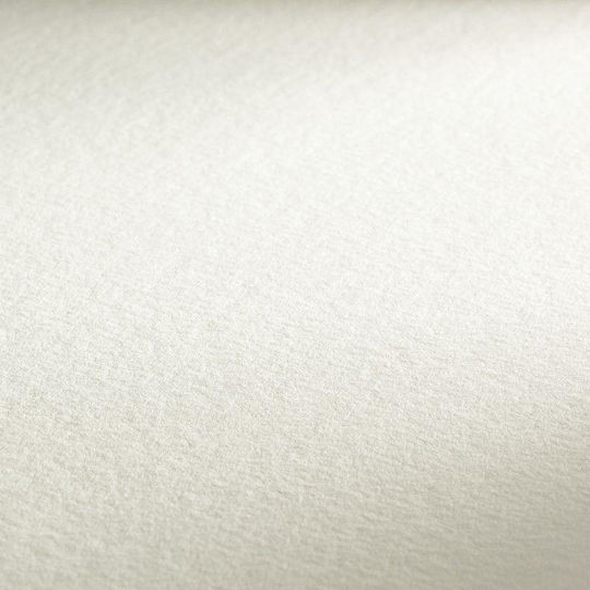 Hahnemuhle Watercolour Paper Mould-made 50x65cm 300gsm Cold Pressed