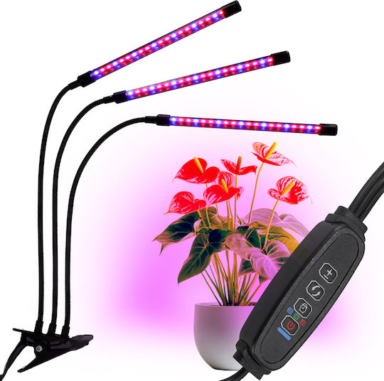 Jumi Wachstumslicht mit LED und Leistung 24W