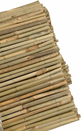 Ra-Ba Gard de Bambus cu Întregul Reed 2.5x4m