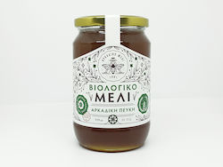 Αρκαδικό Μέλι Βιολογικό Μέλι Πεύκου Αρκαδίου 950gr Αρκαδικό Μέλι Βιολογικό Μέλι Πεύκου Αρκαδίου 950gr