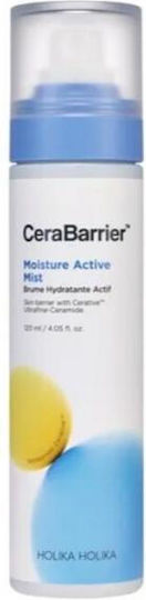 Holika Holika Moisture Active Mist Cream Face 120ml