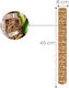 Moss Poles Front Opening Size Large