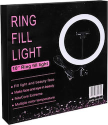 40127 Ringlicht