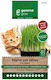 Gemma Grow Grass for Gastrointestinal Disorders 11-L05-0243