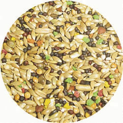 Donald Kanarienfutter Classic 1kg