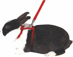 Kerbl Geschirr für Nagetiere