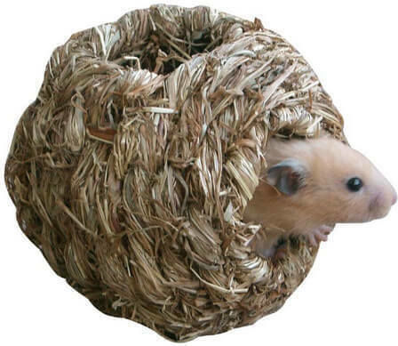 Kerbl Small Nest Natural Dried Grass for Hamsters and Mice Kerbl