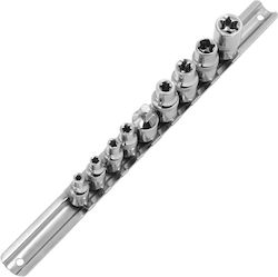 Verke Καρυδάκια Torx με Καρέ Υποδοχής 1/4", 3/8" Σετ 8τμχ Verke Καρυδάκια Torx με Καρέ Υποδοχής 1/4", 3/8" Σετ 8τμχ
