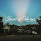 Band Horses Things Are Great 1 винил