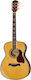 Richwood Akustisch Gitarre