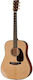 Martin Acoustic Guitar Modern Deluxe