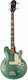 Epiphone Electric Bass