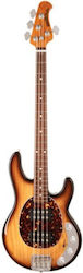 Music Man 4-струнно Електрическо Басо Man Stingray 4 Special Hh Rw Be Music Man 4-струнно Електрическо Басо Man Stingray 4 Special Hh Rw Be