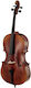 Gewa 6 4/4 Cello