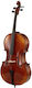 Gewa Allegro Vc1 7/8 Cello