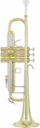 Vincent Bach 18043 Bb-trumpet Trumpet