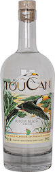 Toucan