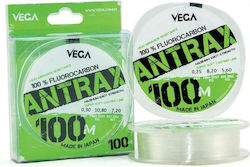 Πετονιά Vega Antrax 100m 100% Fluorocarbon 0.25mm
