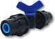 Blue Butterfly Valve Coupling F20 1 Piece