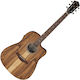 Ibanez Ακουστική Κιθάρα Open Pore / Brown / White