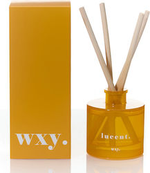 Sunshine & Cedar Home Fragrance Diffuser 100ml Lucent Wxy