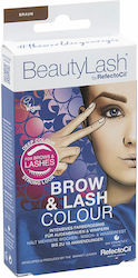 RefectoCil Beautylash Μολύβι για Φρύδια σε Καστ...