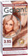 Rosa Impex Βαφή Μαλλιών 3.95 Real Blond